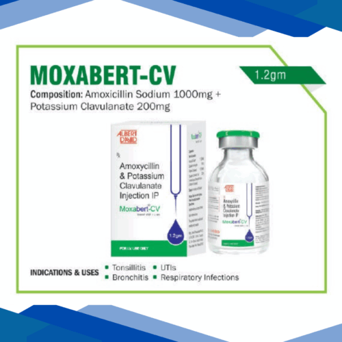 Moxabert-CV