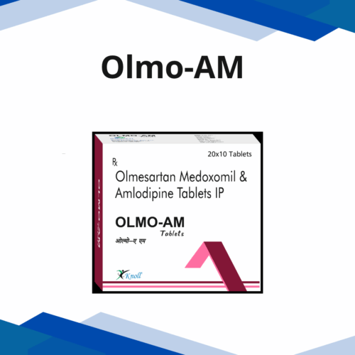 Olmo-AM