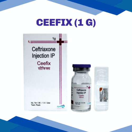 Ceefix (1 G)
