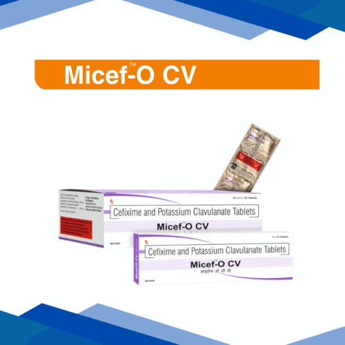 micef-o cv