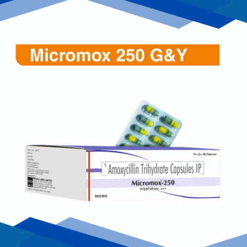 Micromox 250 G&Y