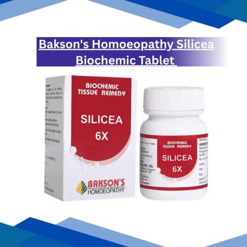 Bakson's Homoeopathy Silicea Biochemic Tablet 6X