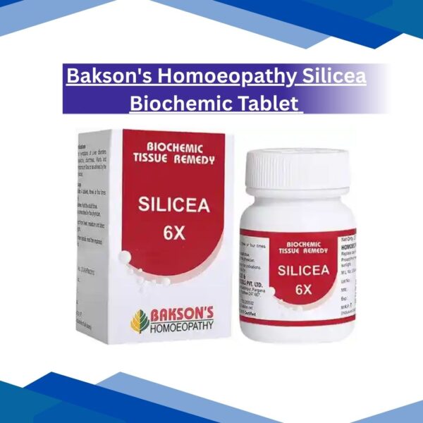 Bakson's Homoeopathy Silicea Biochemic Tablet 6X