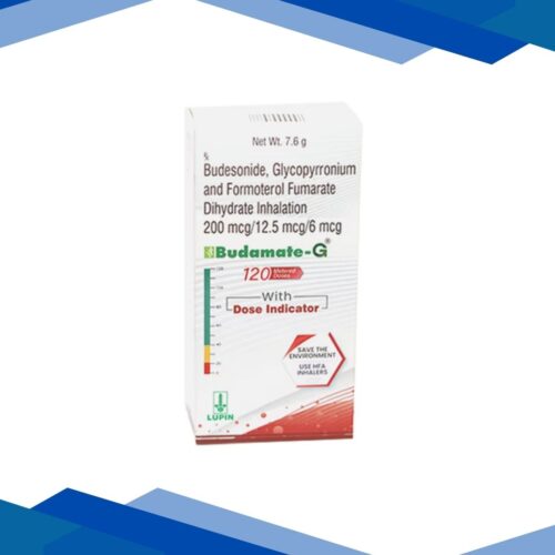 BUDAMATE G WITH DOSE INDICATOR 120md Inhalation 7.6g