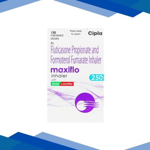 Maxiflo 250 Inhaler 120Md