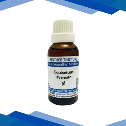 SBL Equisetum Hyemale Q Liquid 30 ml
