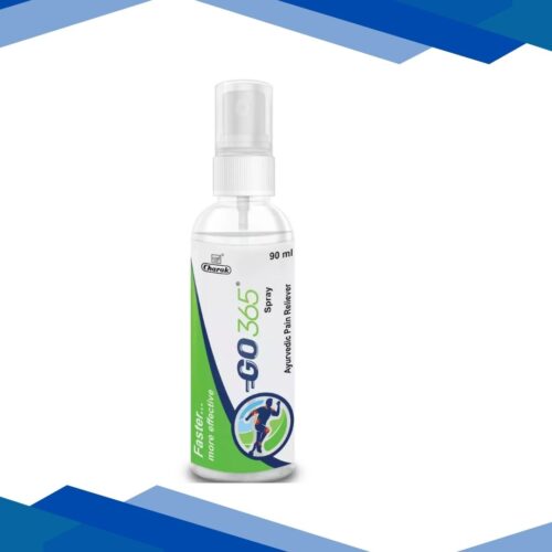 GO365 Ayurvedic Pain Relief Spray 90 ml