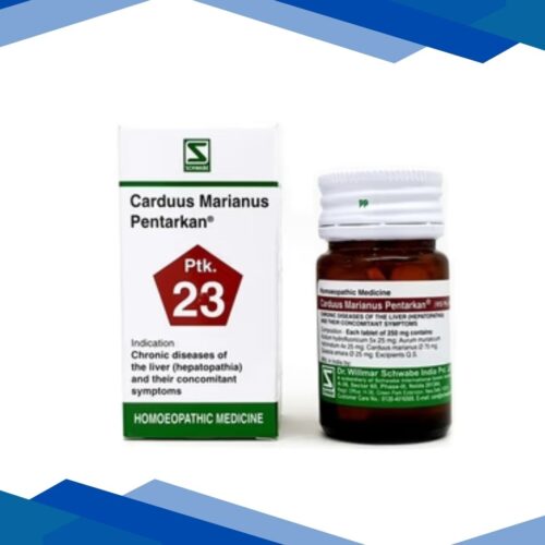 Dr. Willmar Schwabe Carduus Marianus Pen 1X Tablet 20 gm