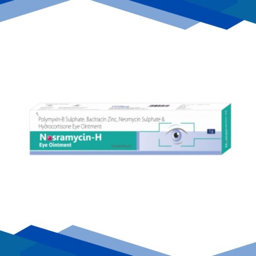 NOSRAMYCIN H Eye Ointment 5g