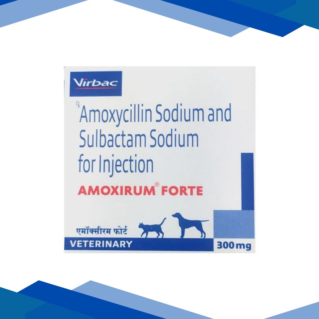 AMOXIRUM FORTE (VET) 300mg Injection 1’s