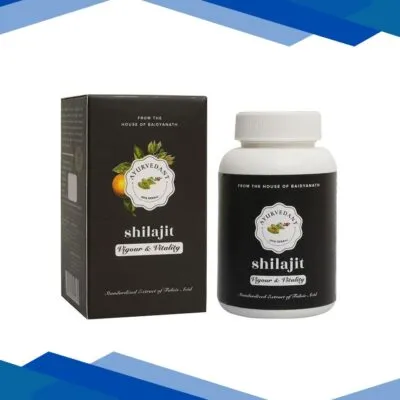 Ayurvedant Shilajit Capsules 60’s