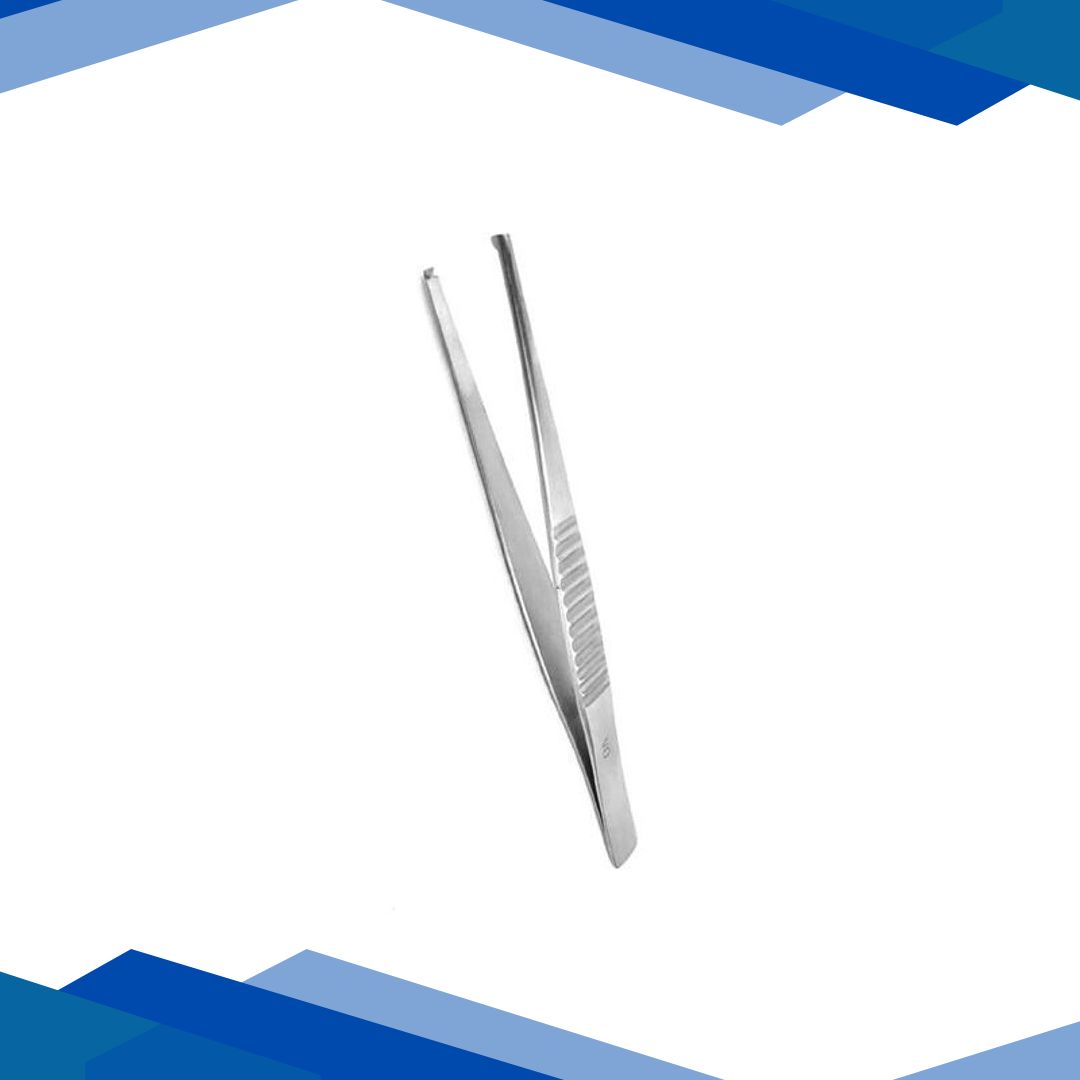 B Positive Rat Tooth Tissue Forcep (M) 1’s