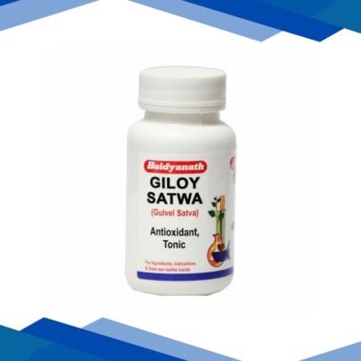 Baidyanath Giloy Satwa Powder 40 gm