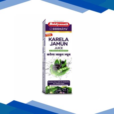 Baidyanath Karela Jamun Juice 1000 ml