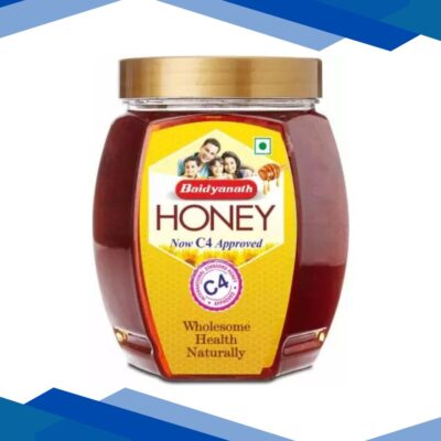 Baidyanath Pure Original Honey 500 g