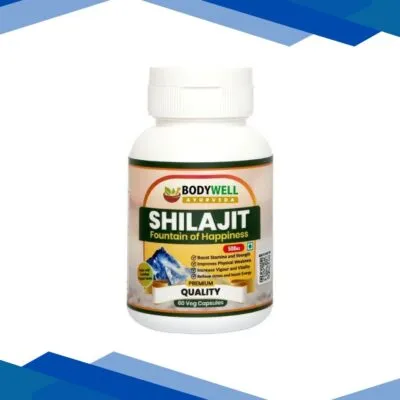 Bodywell Shilajit 500 mg Veg Capsule 60’s