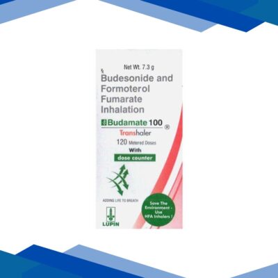 BUDAMATE 100 WITH DOSE COUNTER 120md Transhaler 7.3g