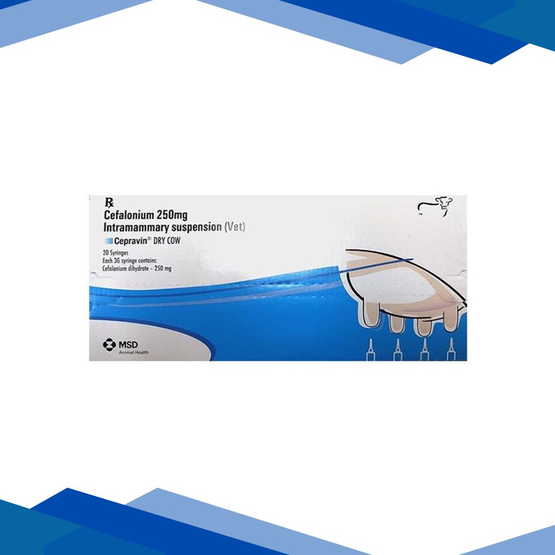 CEPRAVIN DRY COW (VET) Syringes 3g