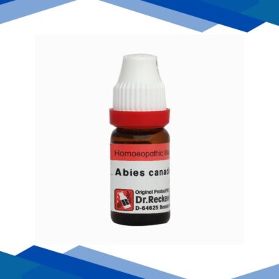 Dr. Reckeweg Abies Canadensis 200 Liquid 11 ml