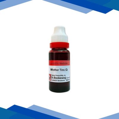 Dr. Reckeweg Angelica Archang Ø Liquid 20 ml