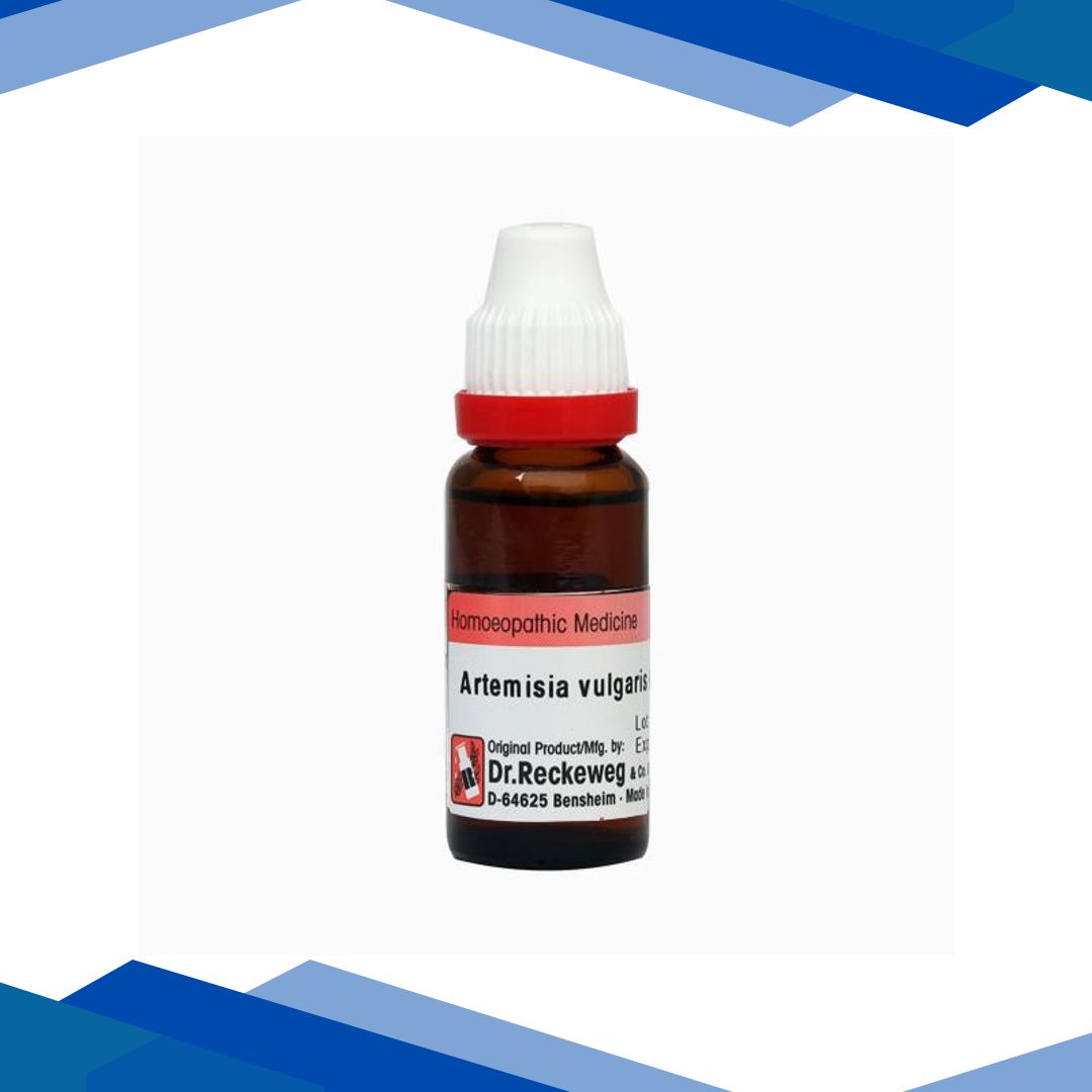 Dr. Reckeweg Artemisia Vulgaris 30 Liquid 11 ml