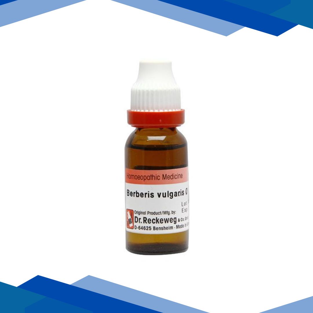 Dr. Reckeweg Berberis Vulgaris Q Liquid 20 ml