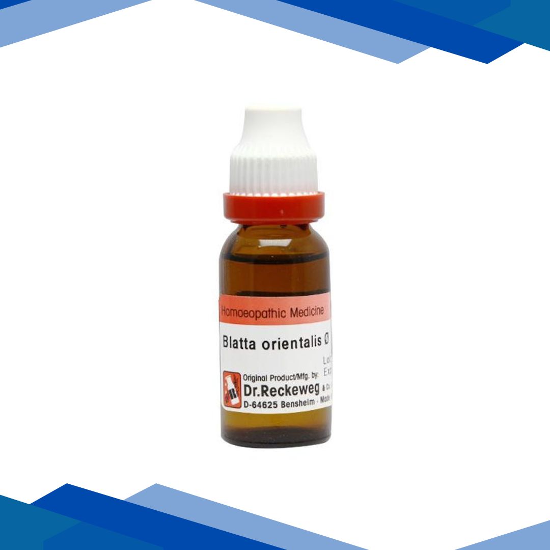 Dr. Reckeweg Blatta Ori Ø Liquid 20 ml