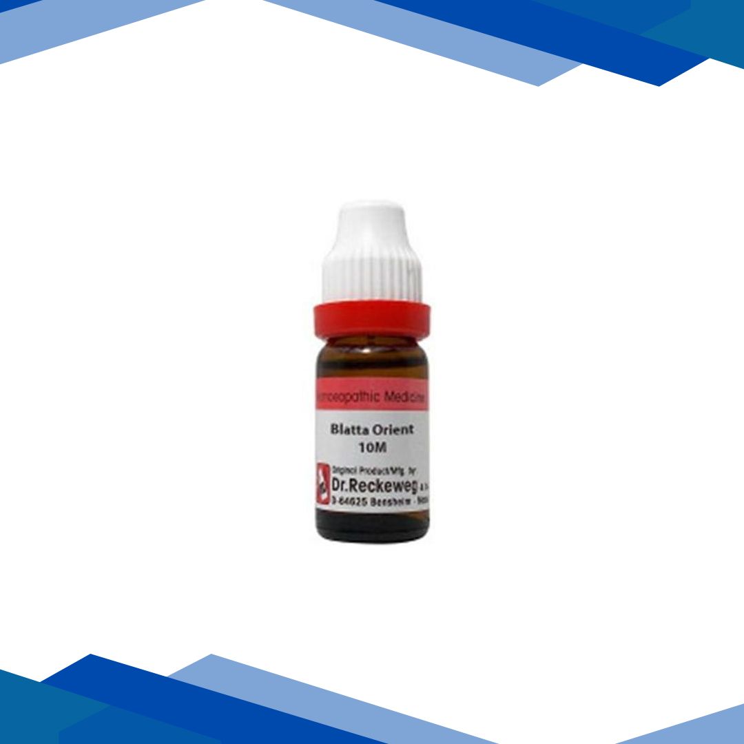 Dr. Reckeweg Blatta Orientalis 10M Liquid 11 ml