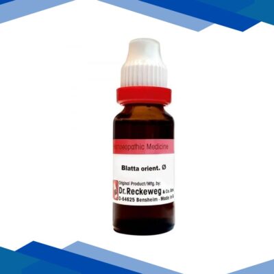 Dr. Reckeweg Blatta Orientalis Q Liquid 20 ml