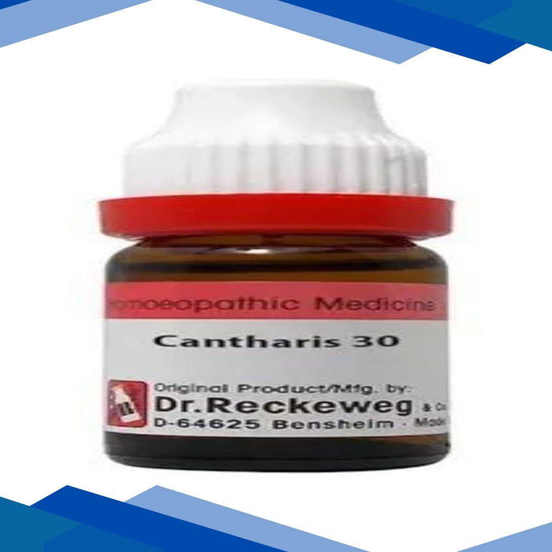 Dr. Reckeweg Cantharis Vesicatoria 30 Liquid 11 ml