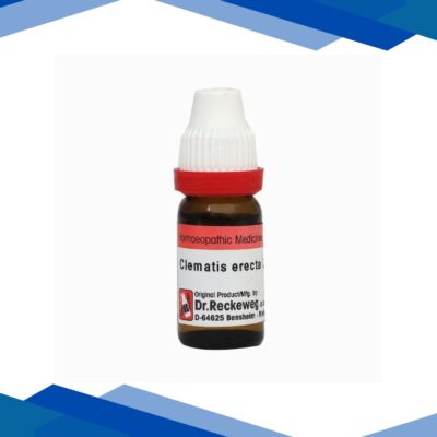 Dr. Reckeweg Clematis Erecta 30 Liquid 11 ml