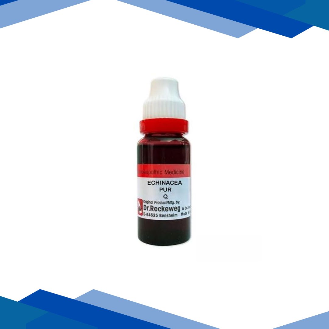 Dr. Reckeweg Echinacea Purpurea Q Liquid 20 ml