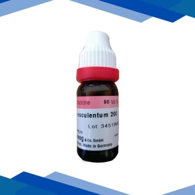 Dr. Reckeweg Fagopyrum 200 Liquid 11 ml