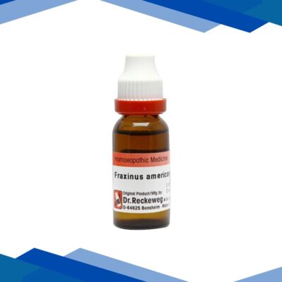 Dr. Reckeweg Fraxinus Americana Q Liquid 20 ml
