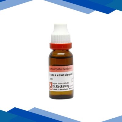 Dr. Reckeweg Fucus Vesiculosus Q Liquid 20 ml