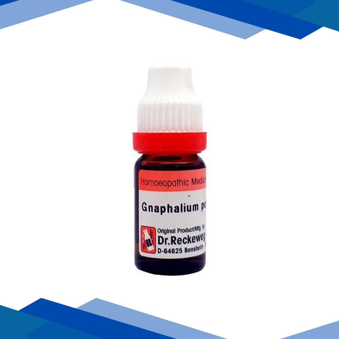 Dr. Reckeweg Gnaphalium Polycephalum 200 Liquid 11 ml
