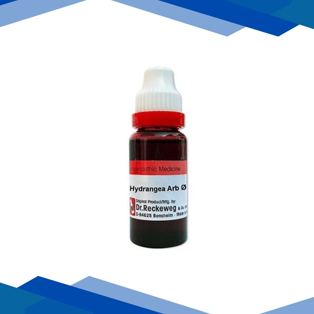 Dr. Reckeweg Hydrangea arborescens Q Liquid 20 ml