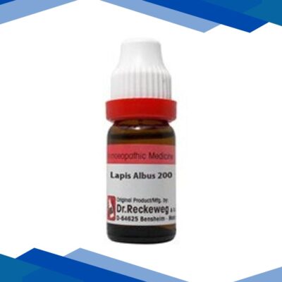 Dr. Reckeweg Lapis Albus 200 Liquid 11 ml