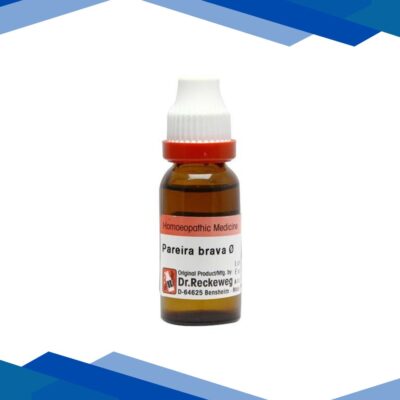 Dr. Reckeweg Pareira Brava Ø Liquid 20 ml