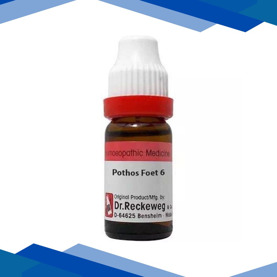 Dr. Reckeweg Pothos Foetidus 6 Liquid 11 ml