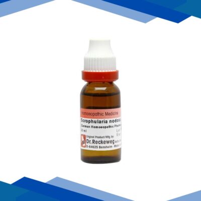 Dr. Reckeweg Scrophularia Nod Ø Liquid 20 ml