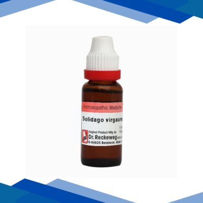 Dr. Reckeweg Solidago Virgaurea 200 Liquid 11 ml