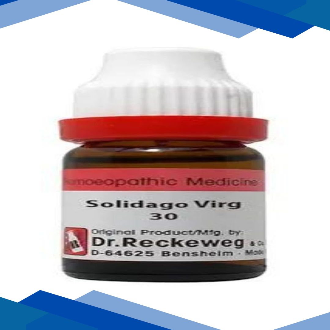 Dr. Reckeweg Solidago Virgaurea 30 Liquid 11 ml
