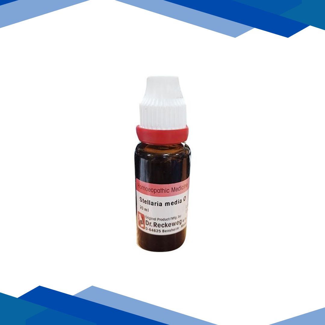 Dr. Reckeweg Stellaria Media Ø Liquid 20 ml