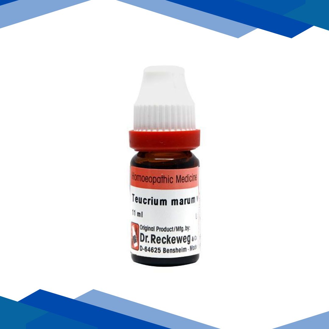 Dr. Reckeweg Teucrium Marum Verum 30 Liquid 11 ml