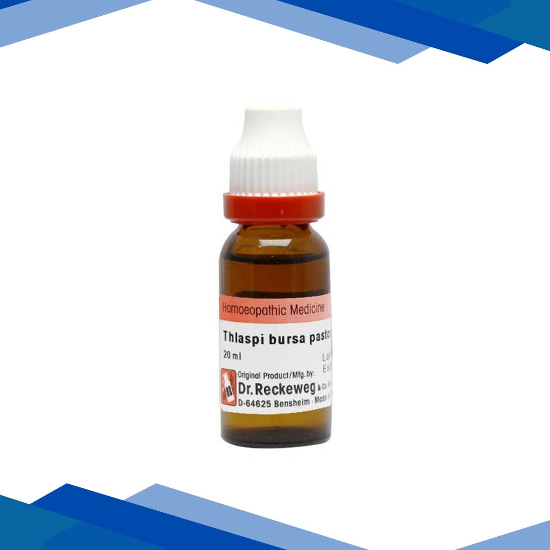 Dr. Reckeweg Thlaspi B. P. Ø Liquid 20 ml