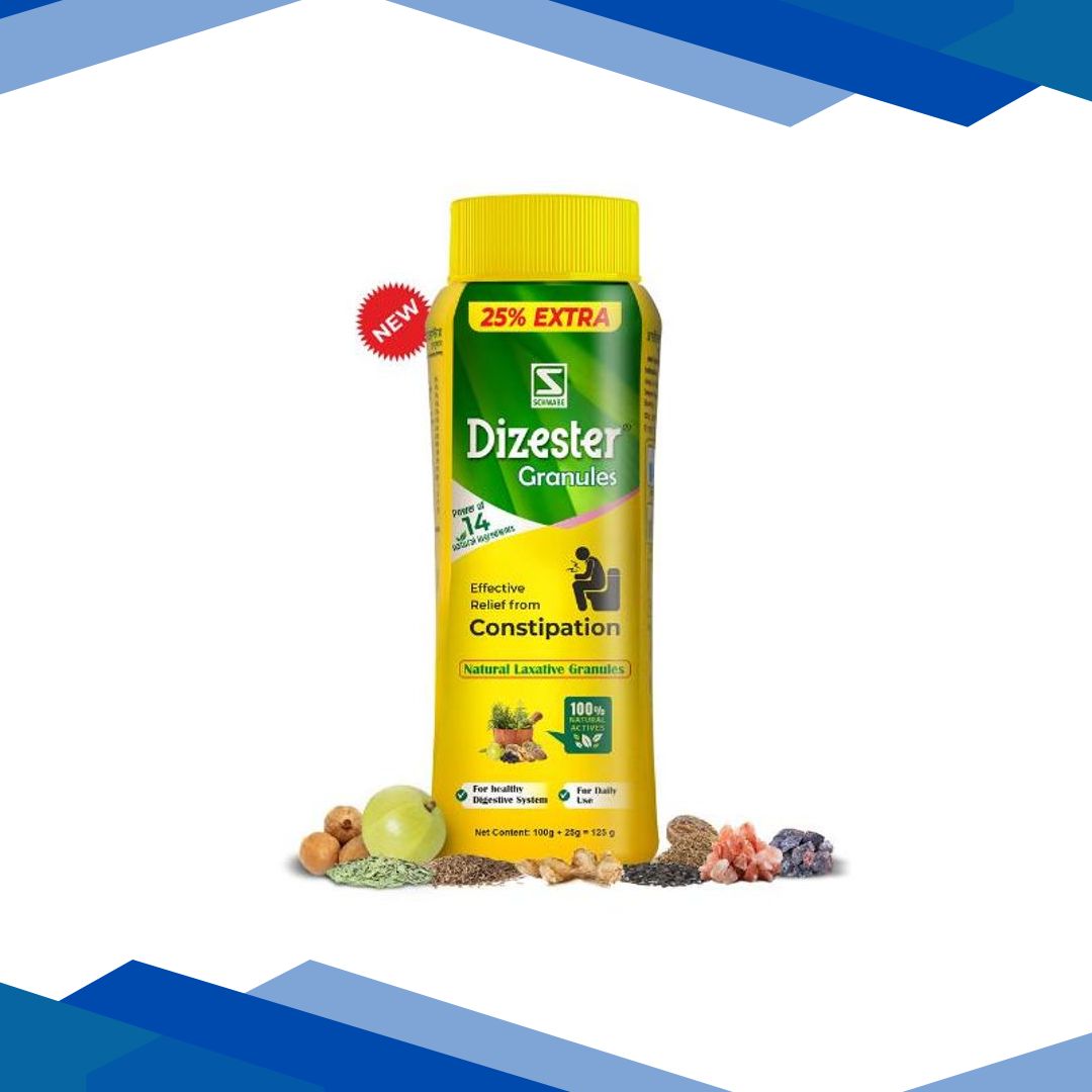 Dr. Willmar Schwabe Dizester Granules (100 g + 25 g) 125 g