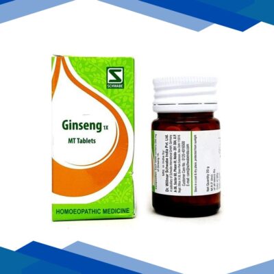 Dr. Willmar Schwabe Ginseng 1X MT Tablet 20 g