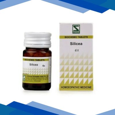 Dr. Willmar Schwabe Silicea 6X Tablet 20 gm