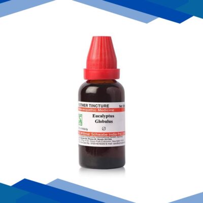 Dr.Willmar Schwabe Eucalyptus Globulus Ø Liquid 30 ml